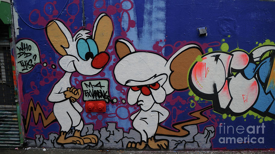 Tenth Avenue Graffiti  Photograph by Cole Thompson