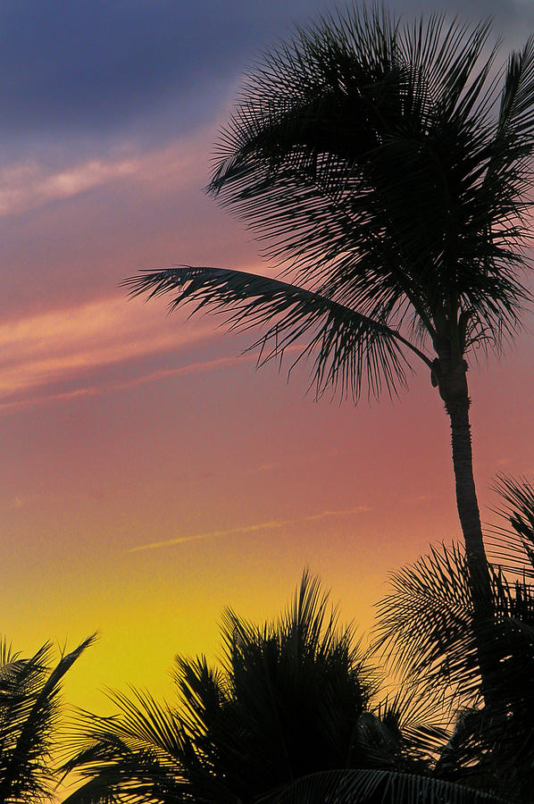 Tequila Sunrise - Key West Photograph by Frank Mari