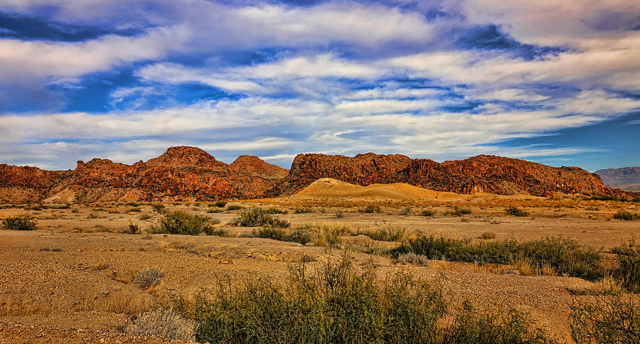 Desert Photograph - Terlingua Desert 5 by Judy Vincent