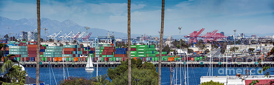 Terminal Island Containers Photograph by David Zanzinger