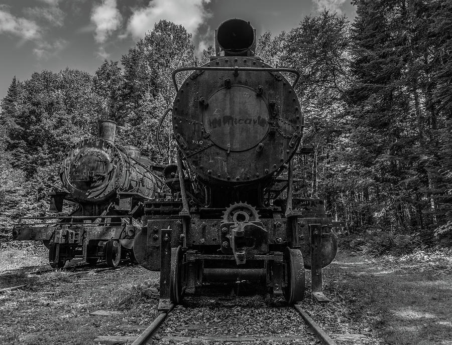 Terminus Two Monochrome  Photograph by Tony Pushard