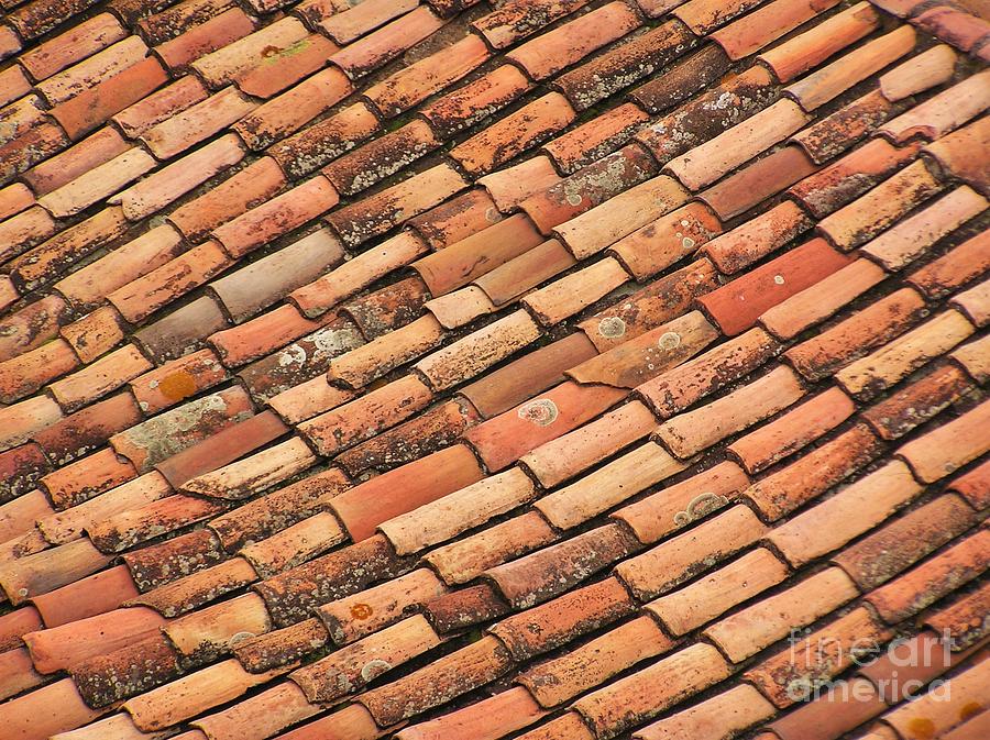 Terra Cotta Tiles Photograph by Michele Penner