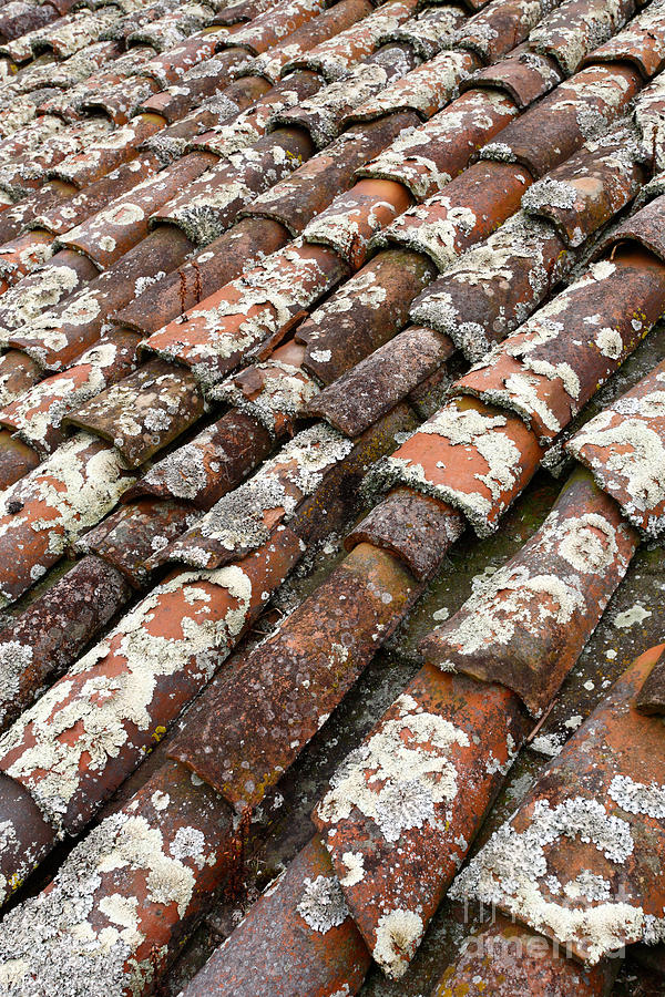 Rooftop Photograph - Terra cotta roof tiles by Gaspar Avila