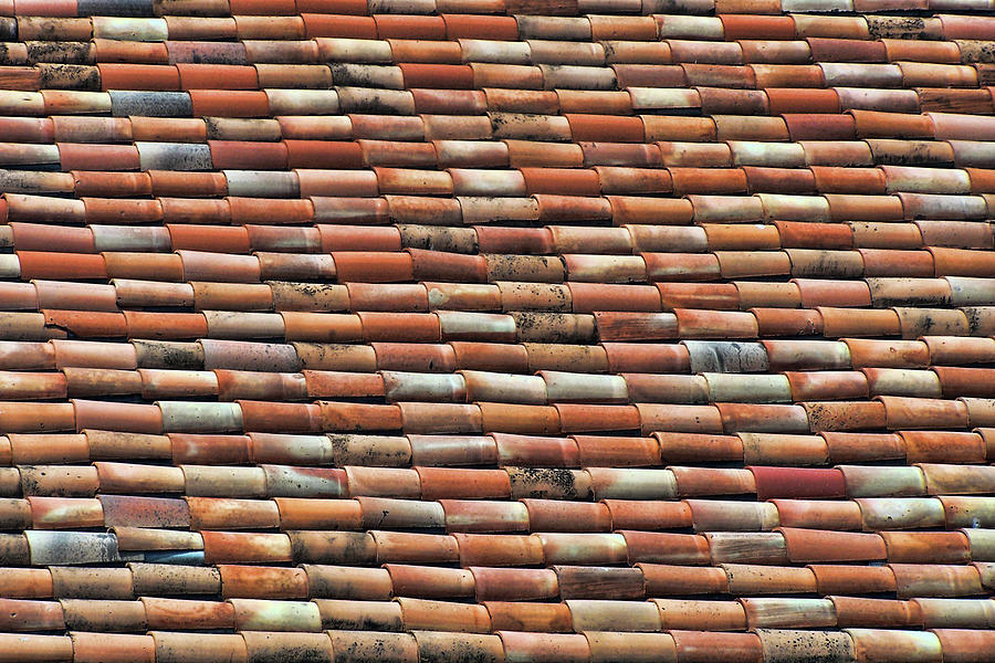 Terra Cotta - Roof Tiles Photograph by Nikolyn McDonald