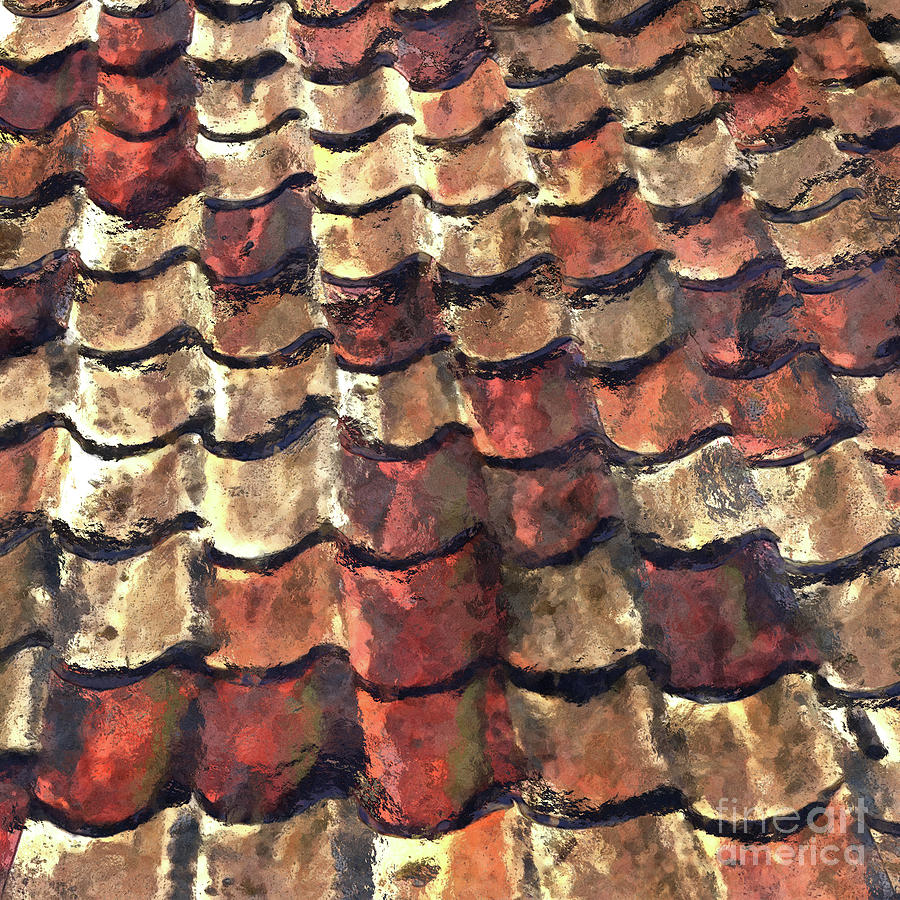 Terra Cotta Roof Tiles Digital Art by Phil Perkins