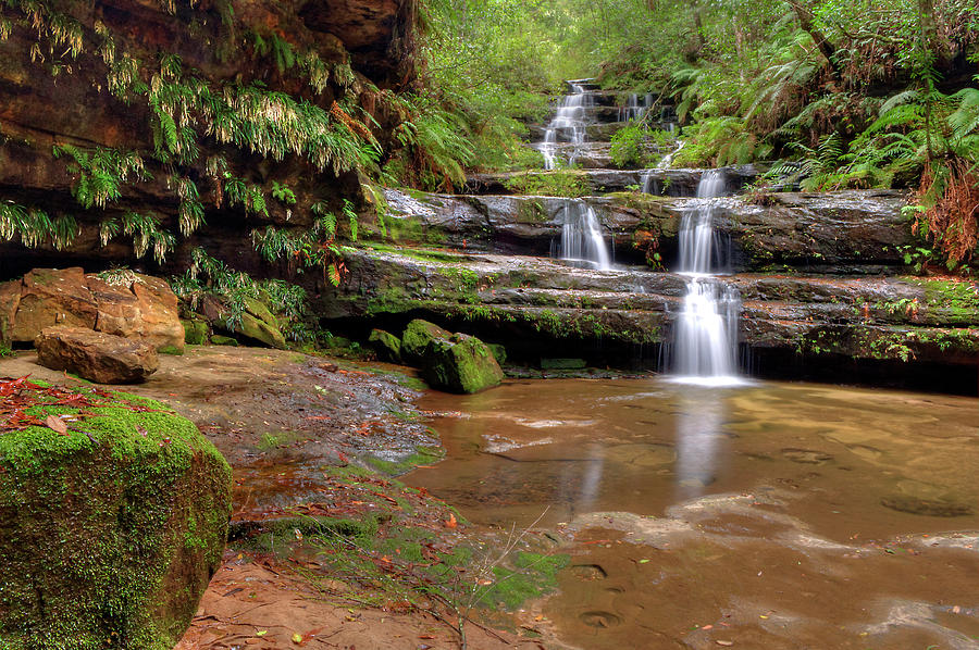 Terrace Falls Reserve Photograph by Terry Everson - Fine Art America