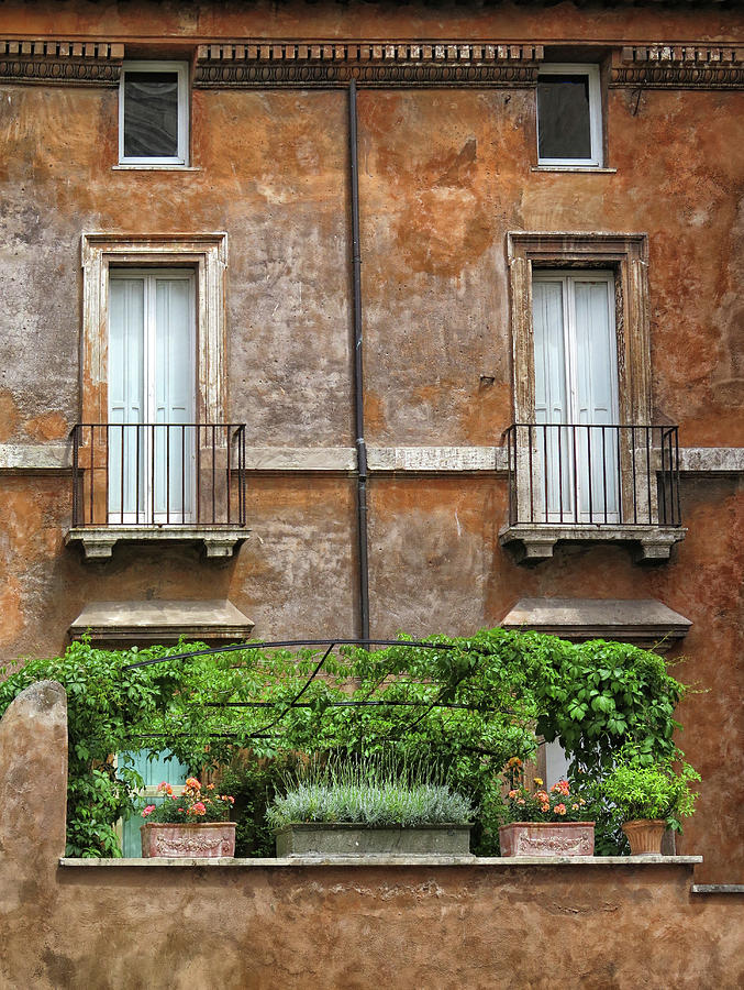 Terrace Garden in Rome Photograph by Dave Mills
