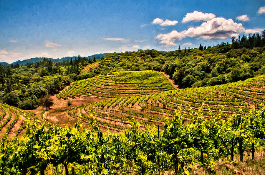 Terraced Vineyards Photograph By John K Woodruff Fine Art America