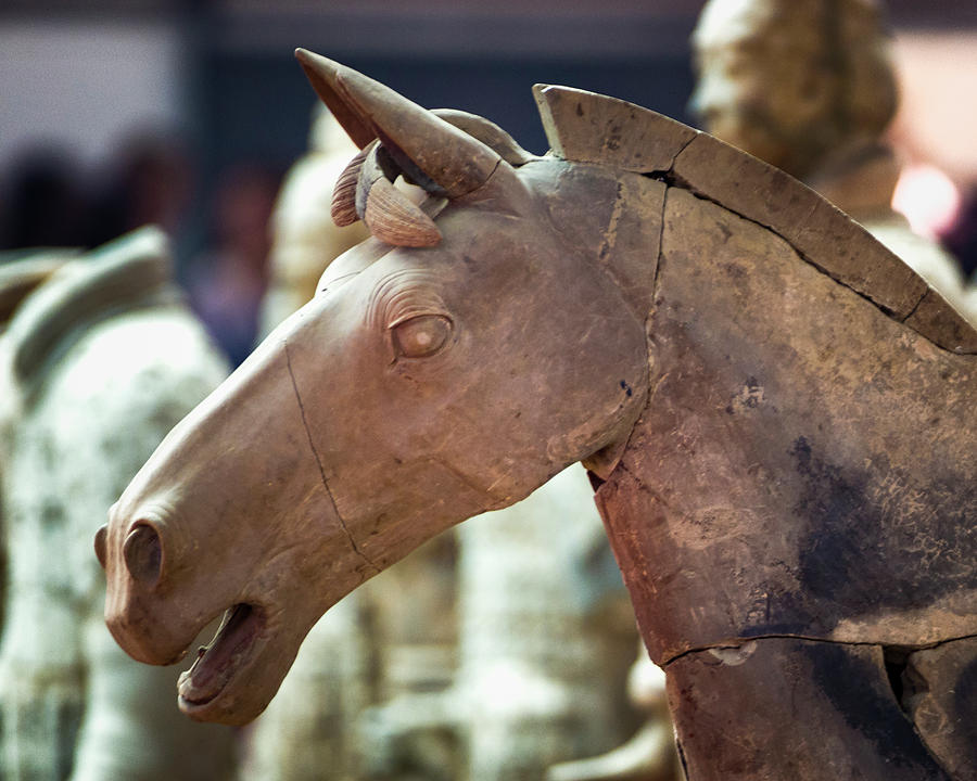 Terracotta Horse Pit 1 Xian Shaanxi China Photograph by Adam Rainoff