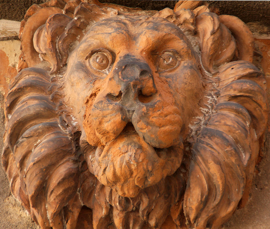 Lion Photograph - Terracotta Lion Face in Venice by Michael Henderson