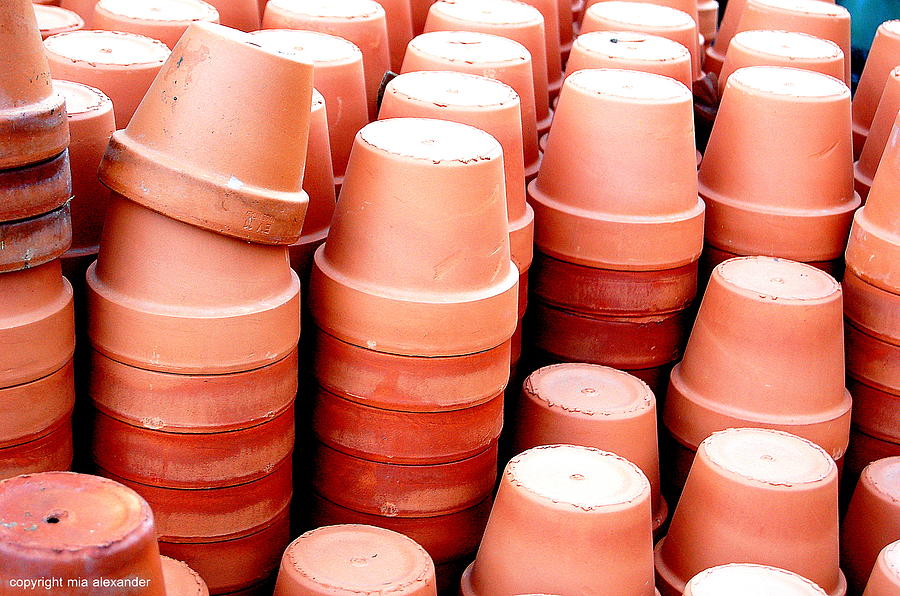 Terracotta pots Photograph by Mia Alexander