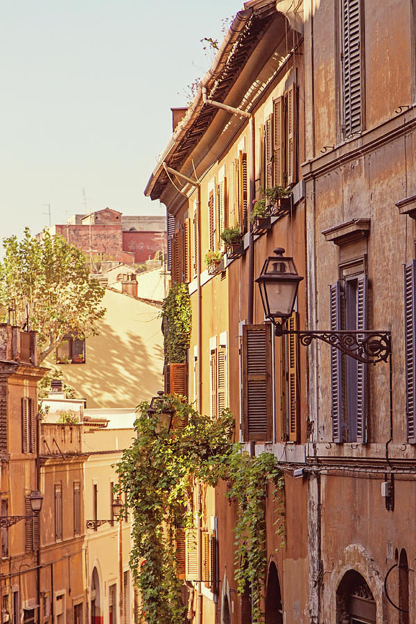 Terracotta - Rome Italy Travel Photography Photograph by Melanie Alexandra Price