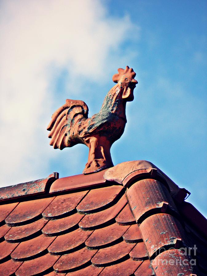 Terracotta Rooster Photograph by Sarah Loft
