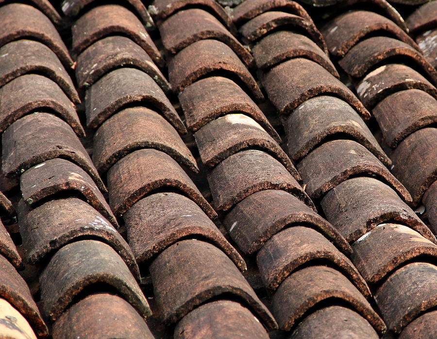 Terracotta tiled Roof Photograph by Andrew Wijesuriya