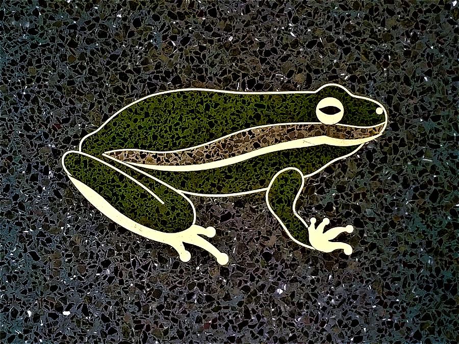 Terrazo Frog Photograph by Rob Hans