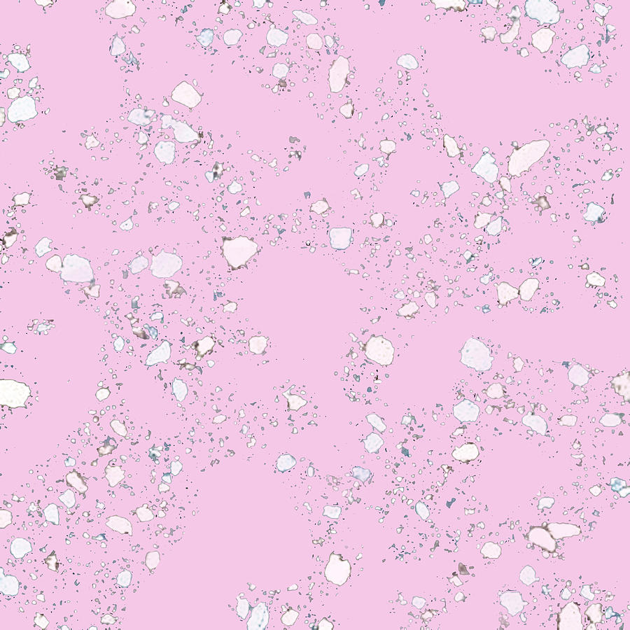 Terrazzo Pink Digital Art By Monica Cipriano Terrazzo Pink Digital Art By Monica Cipriano