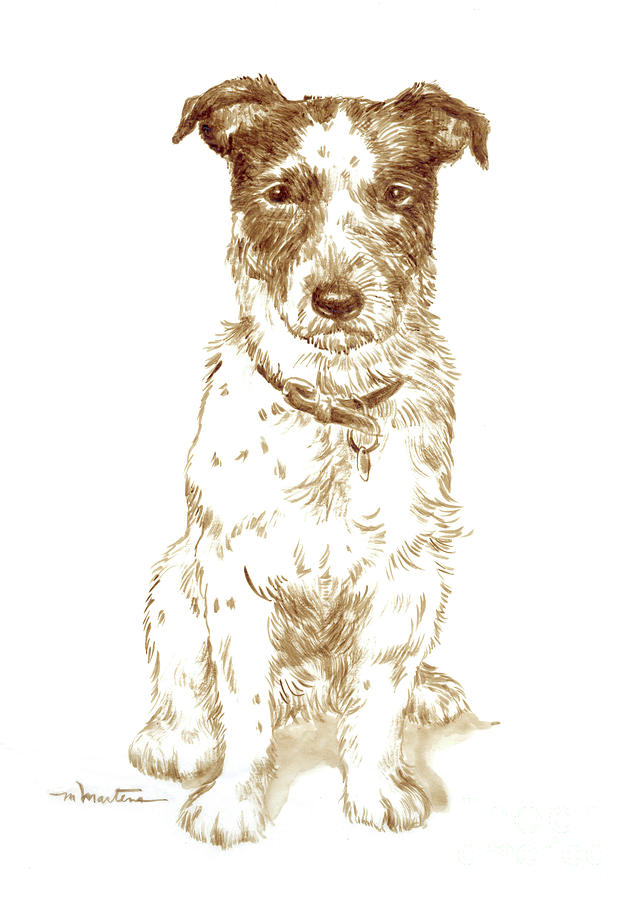 Dog Drawing - Terrier by Meridith Martens