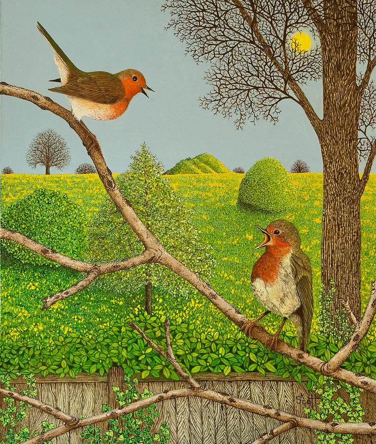 Robin Painting - Territorial rights by Pat Scott