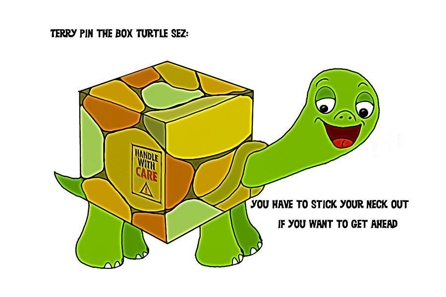 Terry Pin the Box Turtle Digital Art by John Haldane