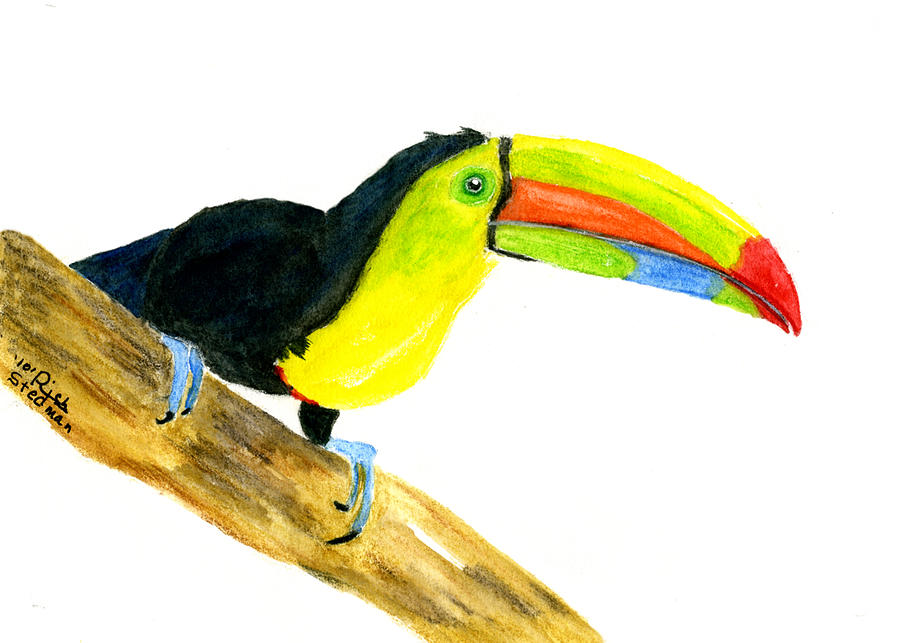 Terry Toucan Painting by Richard Stedman