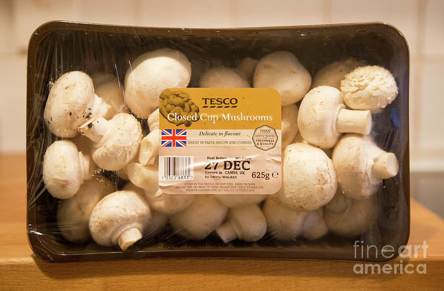 Tesco closed cup mushrooms Photograph by Ian Murray Pixels