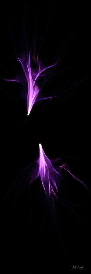 Tesla Coil Flames Photograph by Andrea Lawrence