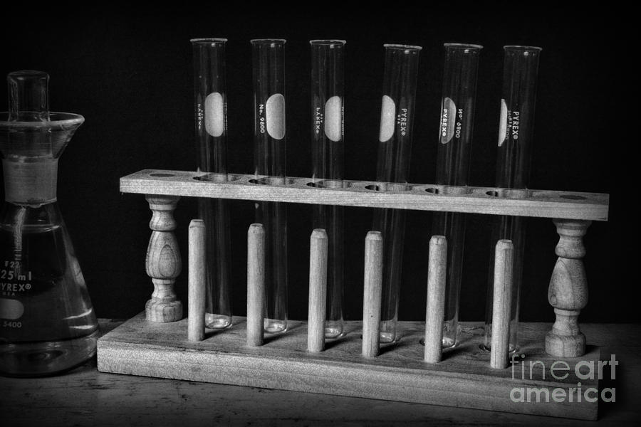 Test Tubes in Black and White Photograph by Paul Ward