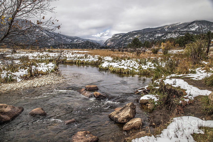 A View of Horseshoe Meadow Photograph by Lynn Sprowl - Fine Art America