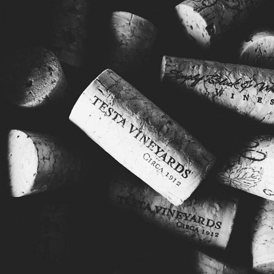 Wine Photograph - Testa Wine Corks... Try The Charbono by Chris Pugh