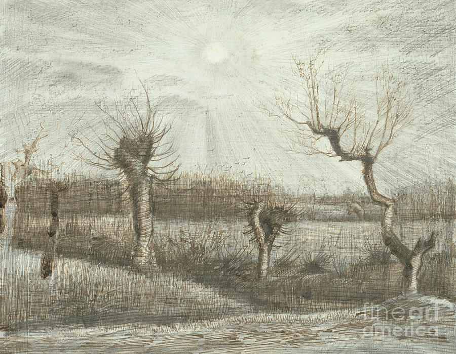 Tetards  Pollards Drawing by Vincent Van Gogh