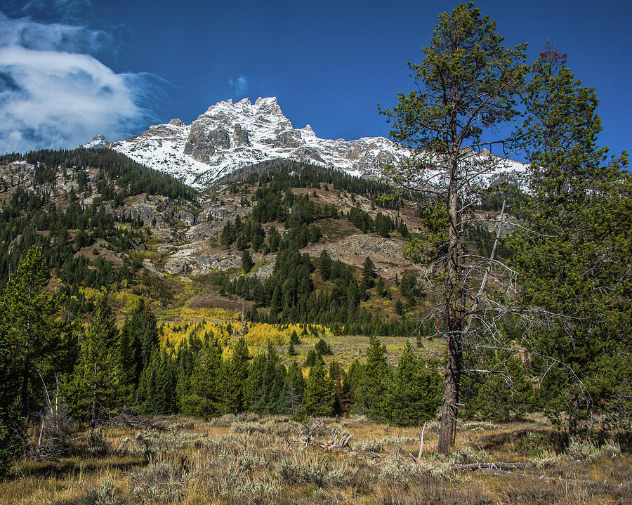 Teton Countryside In Autumn Photograph by Yeates Photography