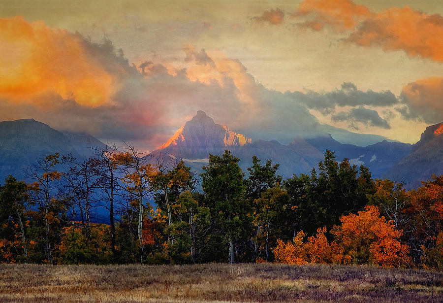 Sunset Photograph - Teton Meadow by Rod Stroh