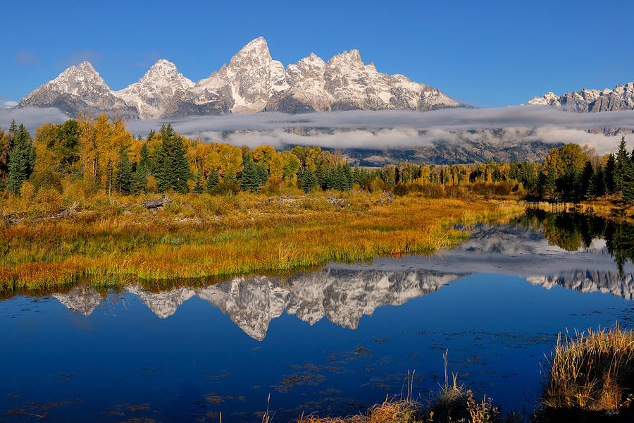 Teton Morning Reflections Photograph by Greg Norrell