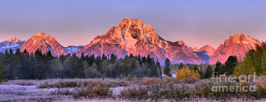 Teton Peaks Over A Frosty Landscape Photograph by Adam Jewell