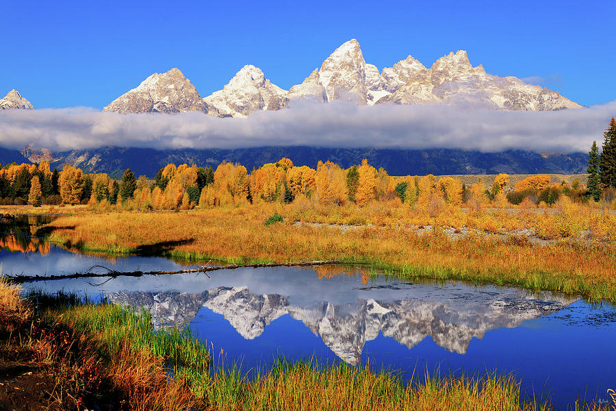 Teton Peaks Reflections Photograph by Greg Norrell