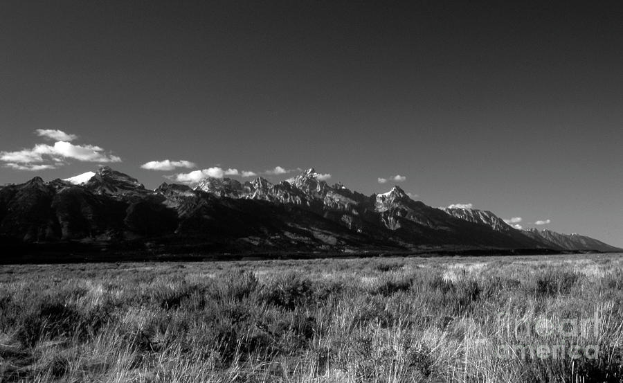 Teton Range in Black and White Photograph by Edward R Wisell