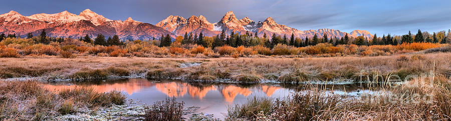 Teton Reflections Amonth The Willows Photograph by Adam Jewell