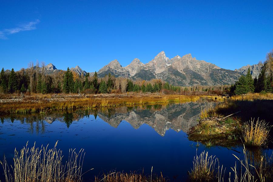 Teton Reflections Photograph by Michael Morse - Fine Art America