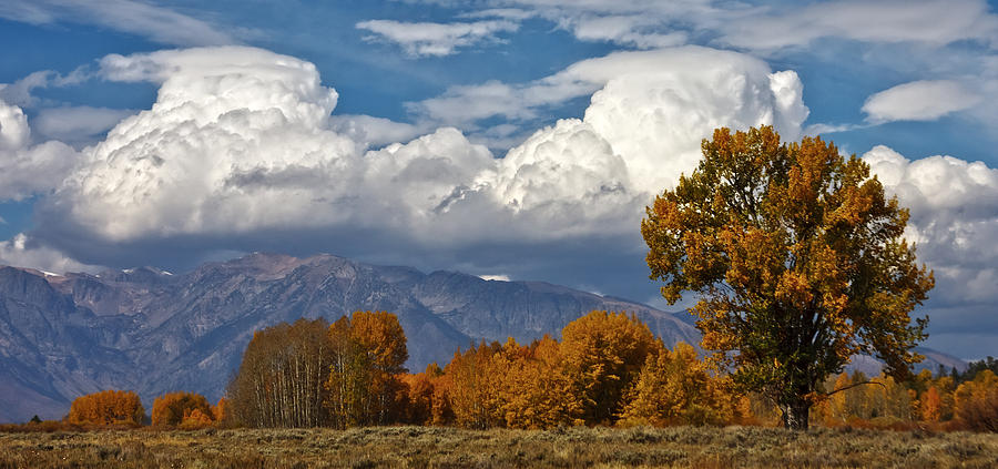 Teton Valley Falltime Photograph by Wes and Dotty Weber
