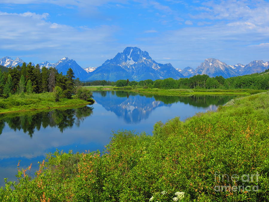 Tetons in Blue Photograph by Aimee Mouw