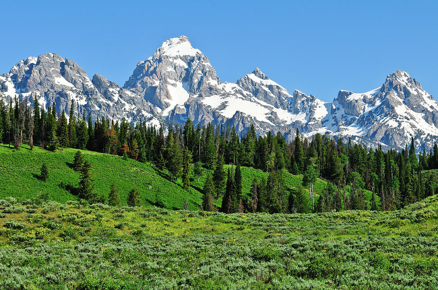 Tetons in Spring Photograph by Greg Norrell