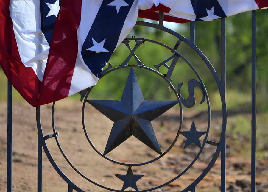 Texas and the Red White and Blue Photograph by Nadalyn Larsen