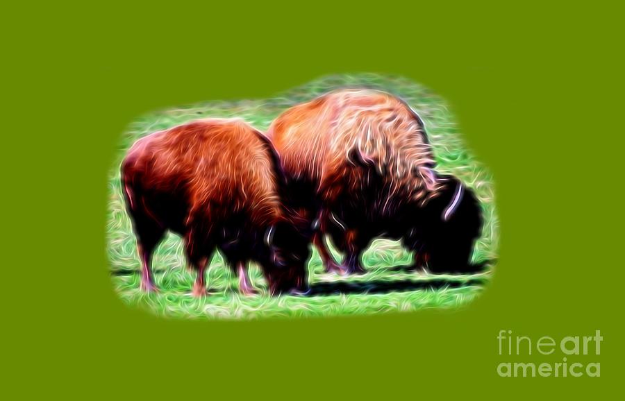 Texas Bison Photograph by Linda Phelps
