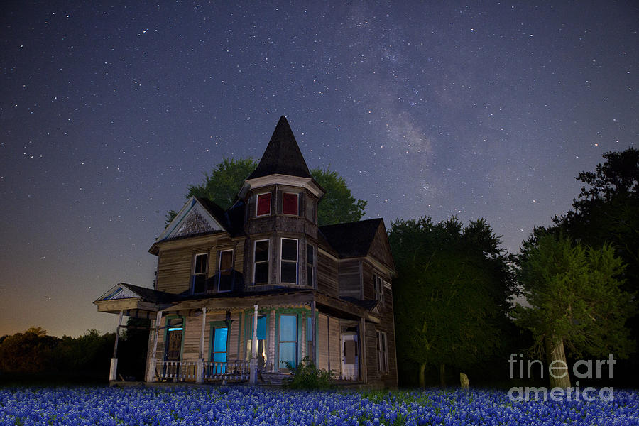 Texas Blue Bonnets at Night with Hearn Gidden House Photograph by Keith Kapple