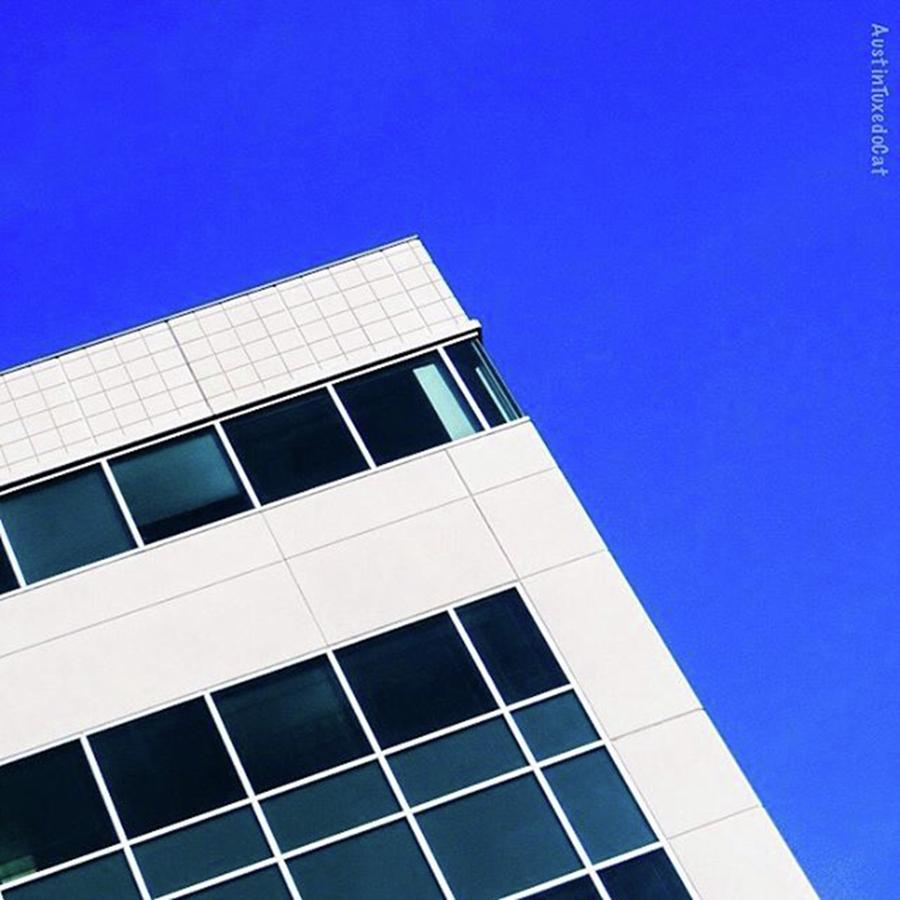Architecture Photograph - #texas #blue #sky And Some Sunday by Austin Tuxedo Cat