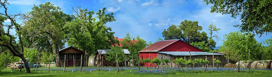 Texas Bluebonnet Vineyard Panorma Photograph by Lynn Bauer