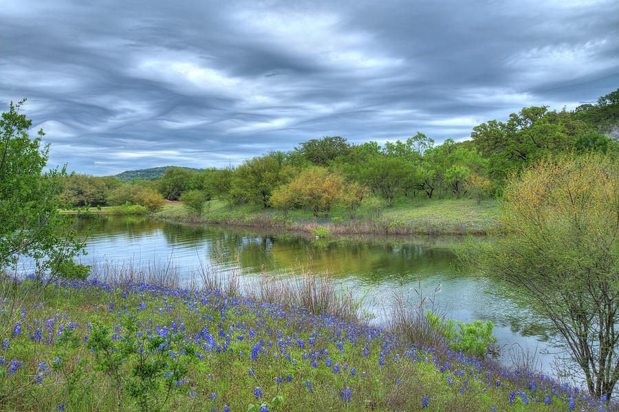 Texas Bluebonnets at Lake Travis Photograph by Lynn Bauer