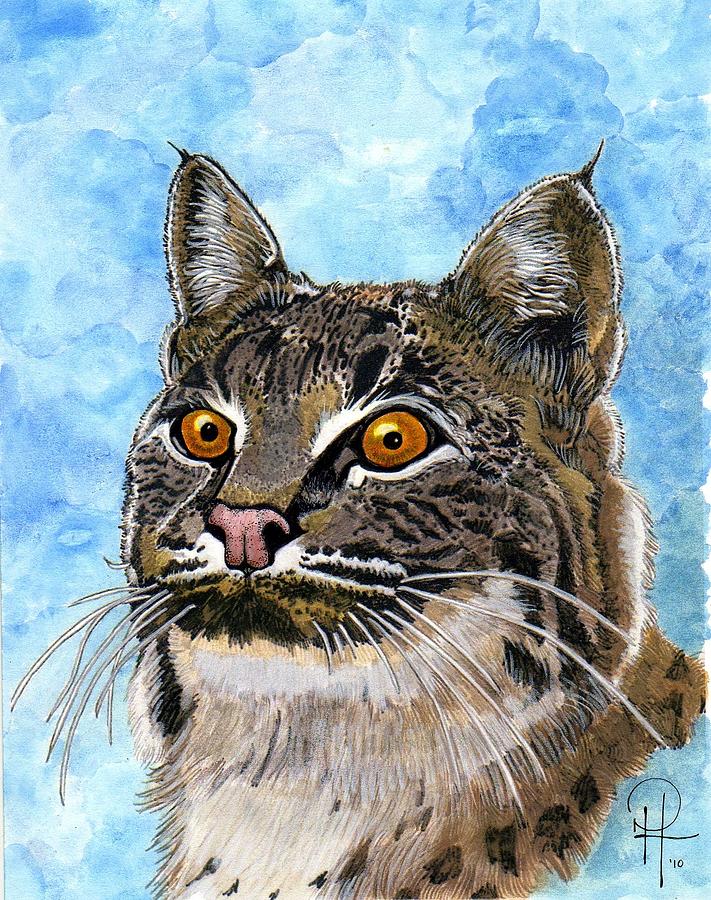 Texas Bobcat Painting By Doug Hiser Fine Art America