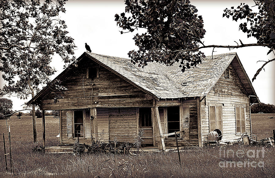 Chris Andruskiewicz - Texas Forgotten - Buzzard Farmhouse II  Texas Forgotten - Buzzard Farmhouse I Photograph by Chris Andruskiewicz