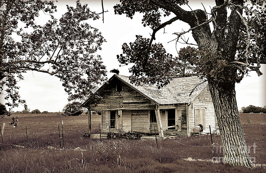 Texas Forgotten - Buzzard Farmhouse II Photograph by Chris Andruskiewicz